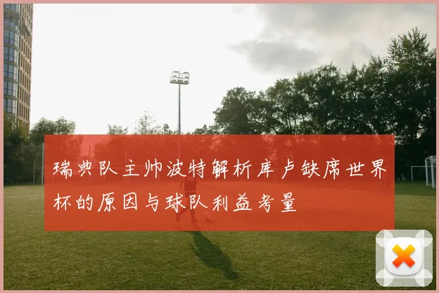 瑞典队主帅波特解析库卢缺席世界杯的原因与球队利益考量